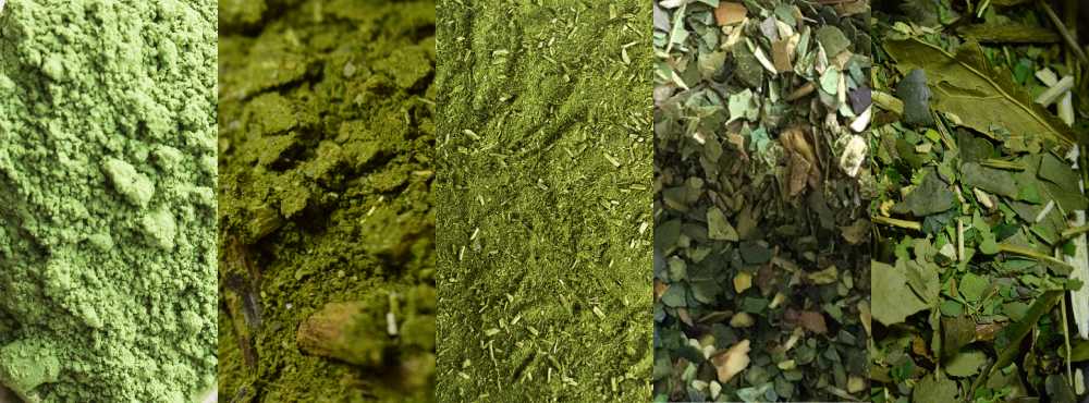 5 diferentes tipos de erva-mate. Ultra-fina, fina, moagem tradicional, moagem grossa e erva-mate pura-folha