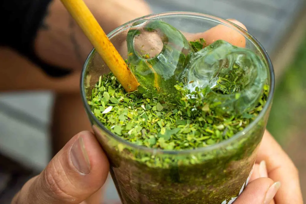 Benefícios do Tereré Gelado para a Saúde - Erva Mate in Box Verde Pura Folha