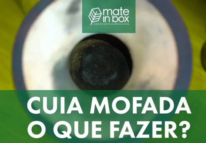 cuia-mofada-o-que-fazer