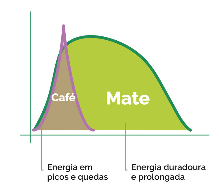 Imagem que descreve a diferença da cafeína do café e da erva-mate. O café tem pico mais alto de energia, porém por menos tempo. Mate não tem pico tão grande de cafeína porém seu efeito é mais prolongado.