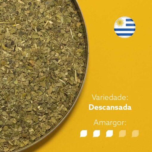 Erva-mate Canárias 1Kg | Uruguaias | Chimarrão - Image 2